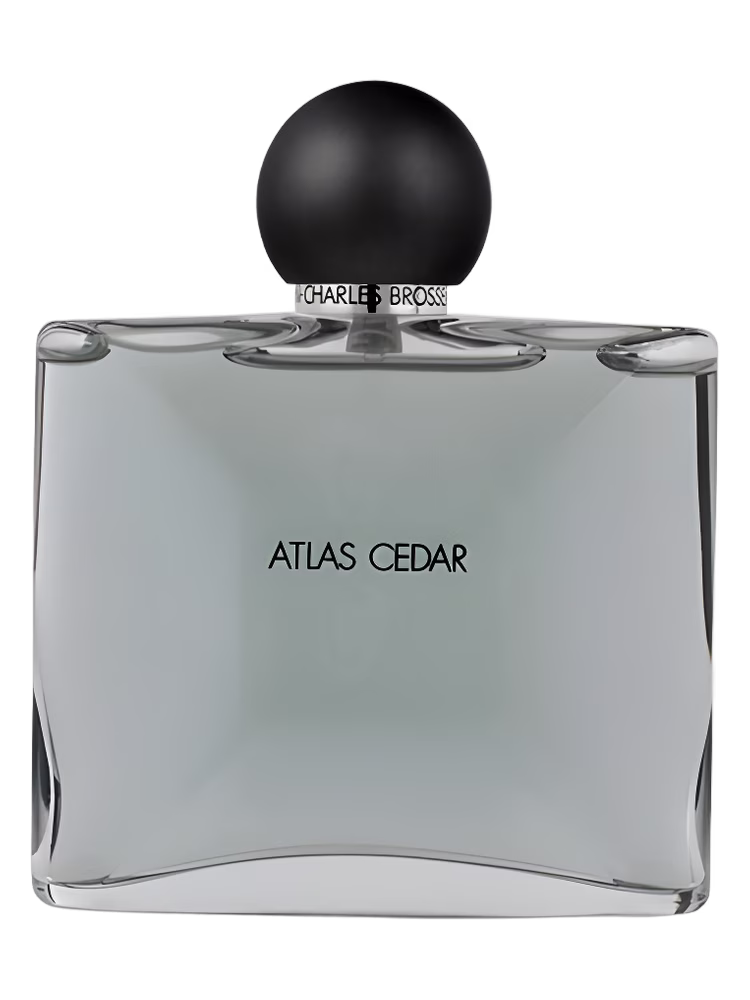 Jean Charles Brosseau Collection Homme/Atlas Cedar