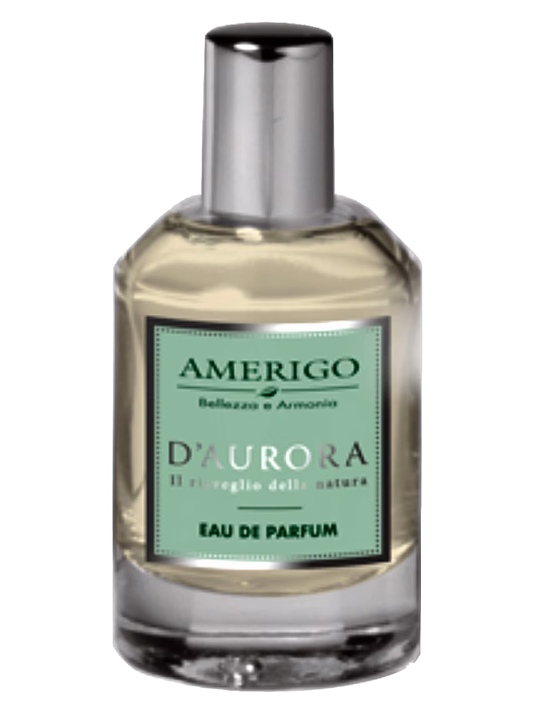 Amerigo D'Aurora