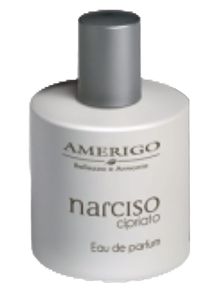 Amerigo Narciso Cipriato