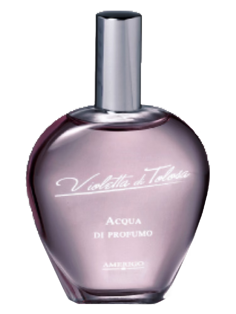 Amerigo Violetta Di Tolosa