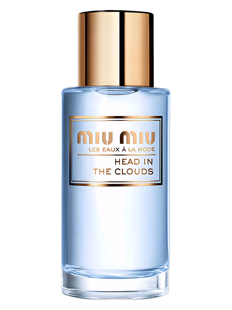 Miu Miu Head In The Clouds