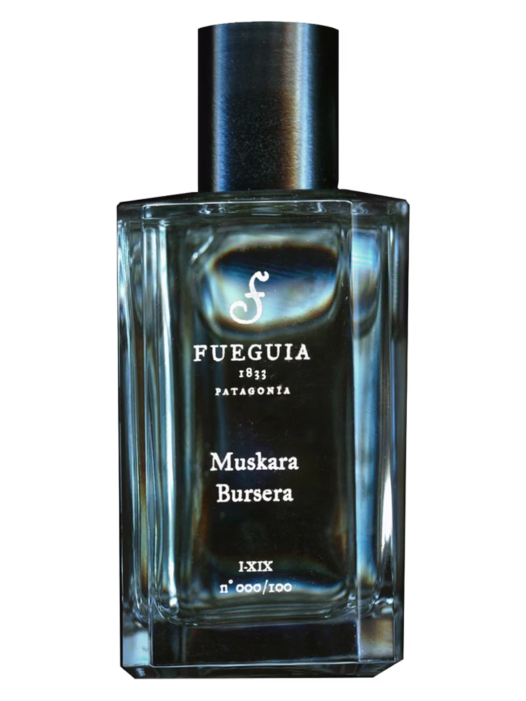 Fueguia 1833 Muskara Bursera