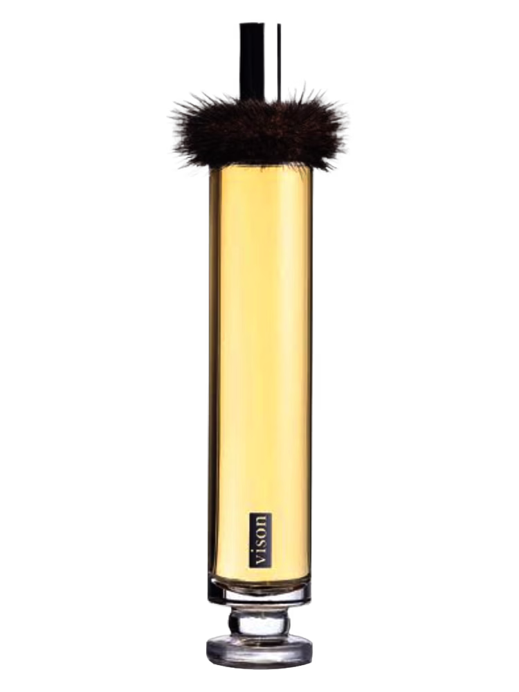 Robert Beaulieu Vison EDP