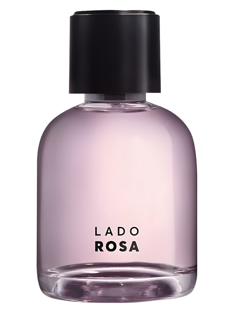 Quem Disse Berenice Lado Rosa