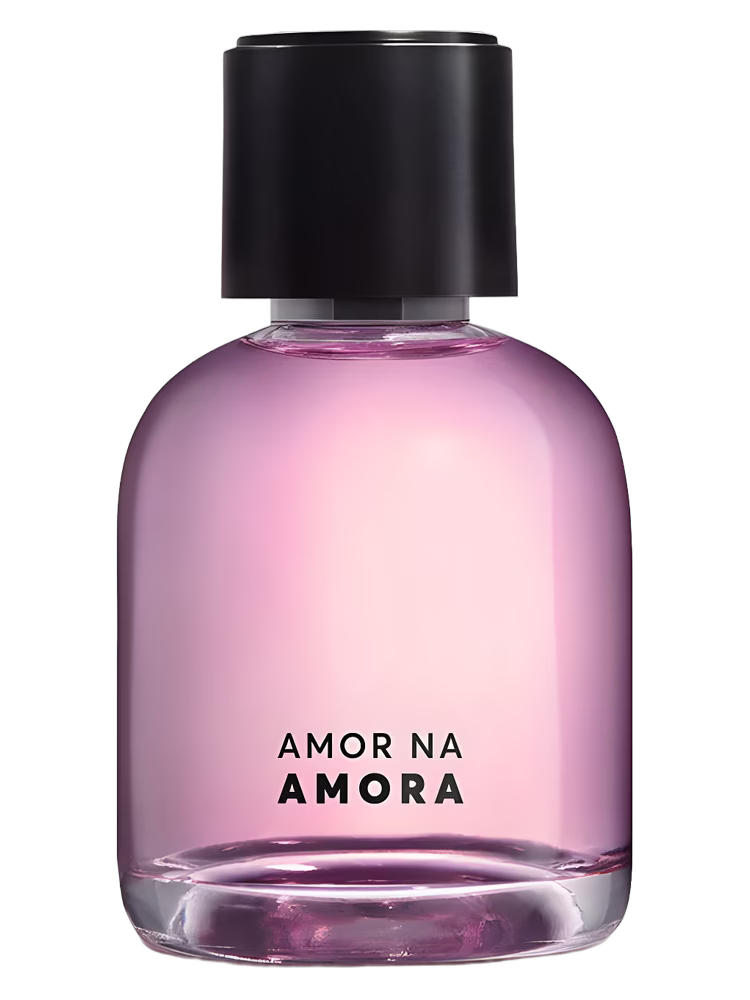 Quem Disse Berenice Amor na Amora