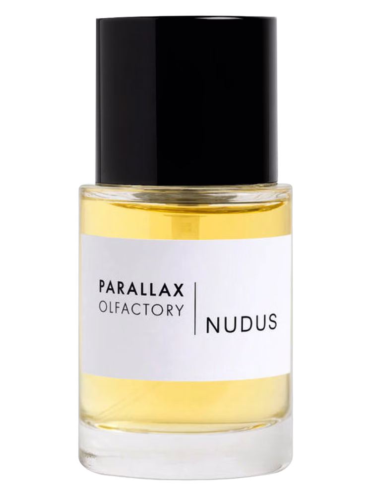 Parallax Olfactory Nudus