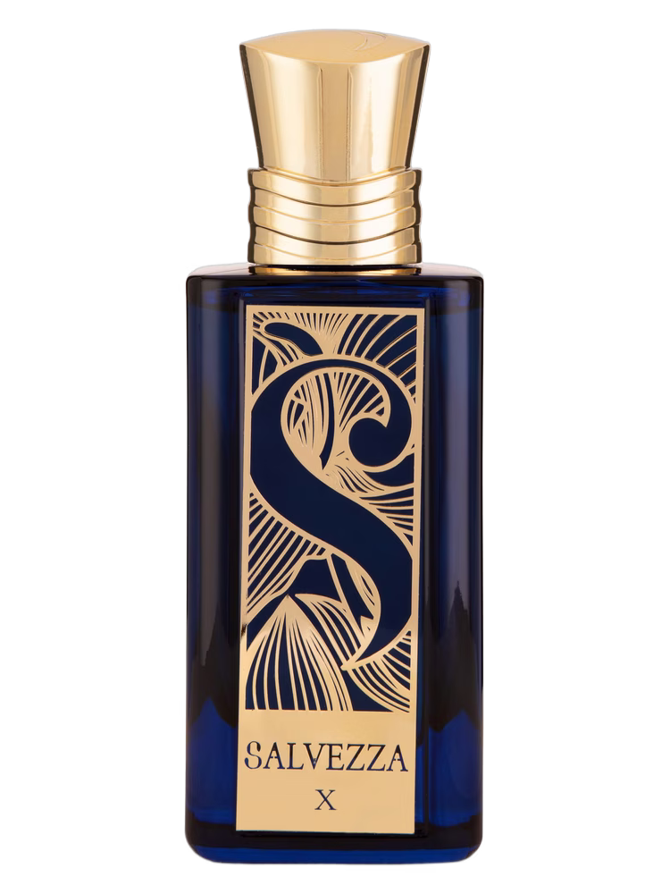 Salvezza X