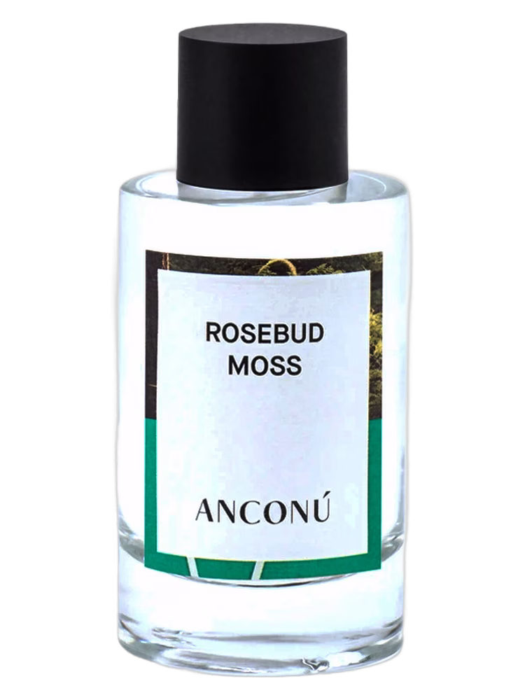Anconu Rosebud Moss
