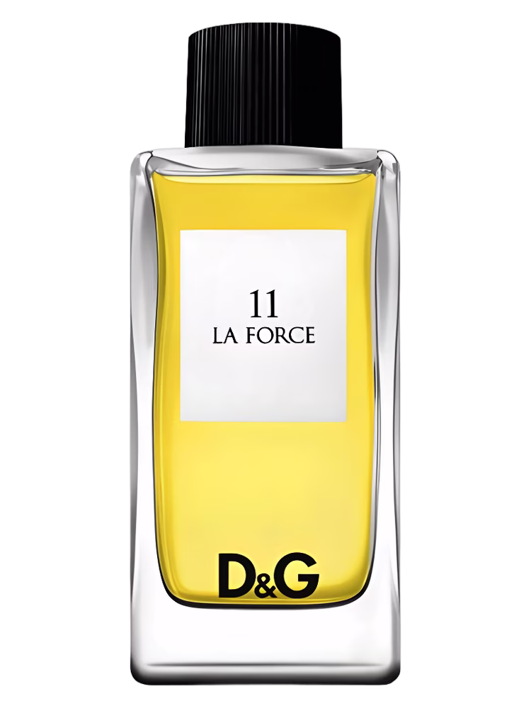 Dolce&Gabbana D&G Anthology La Force 11