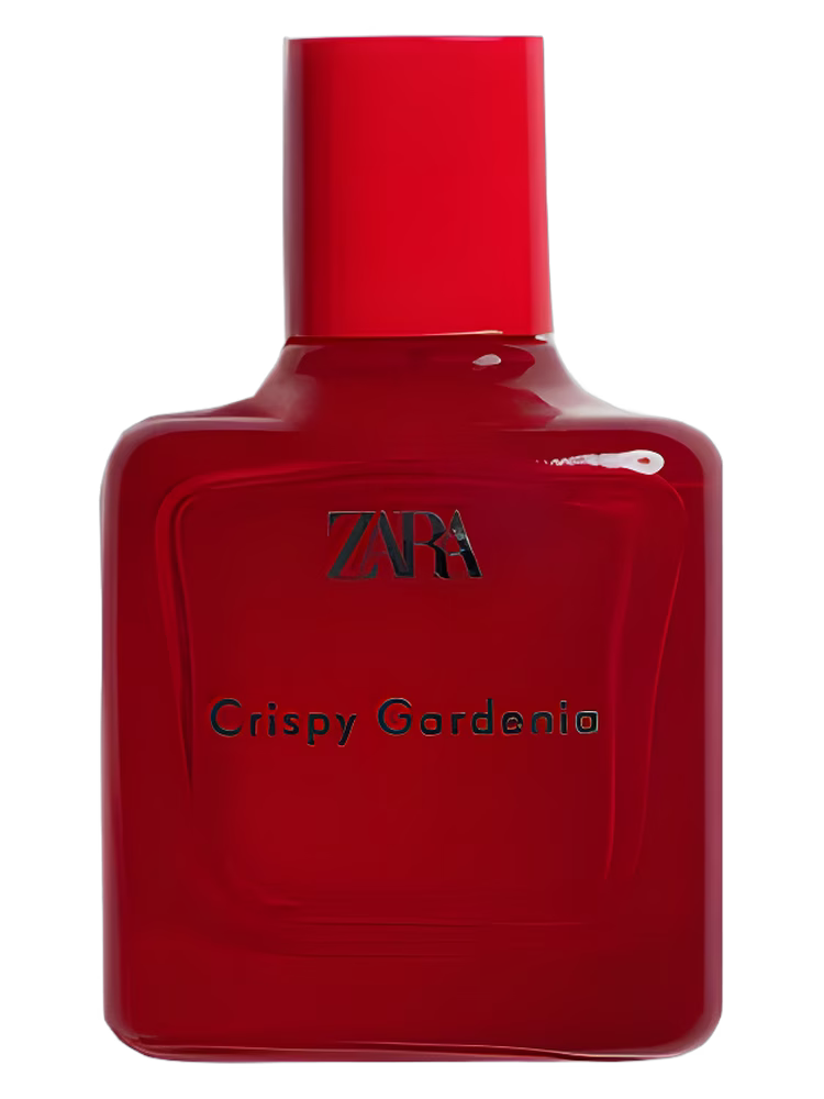 Zara Crispy Gardenia
