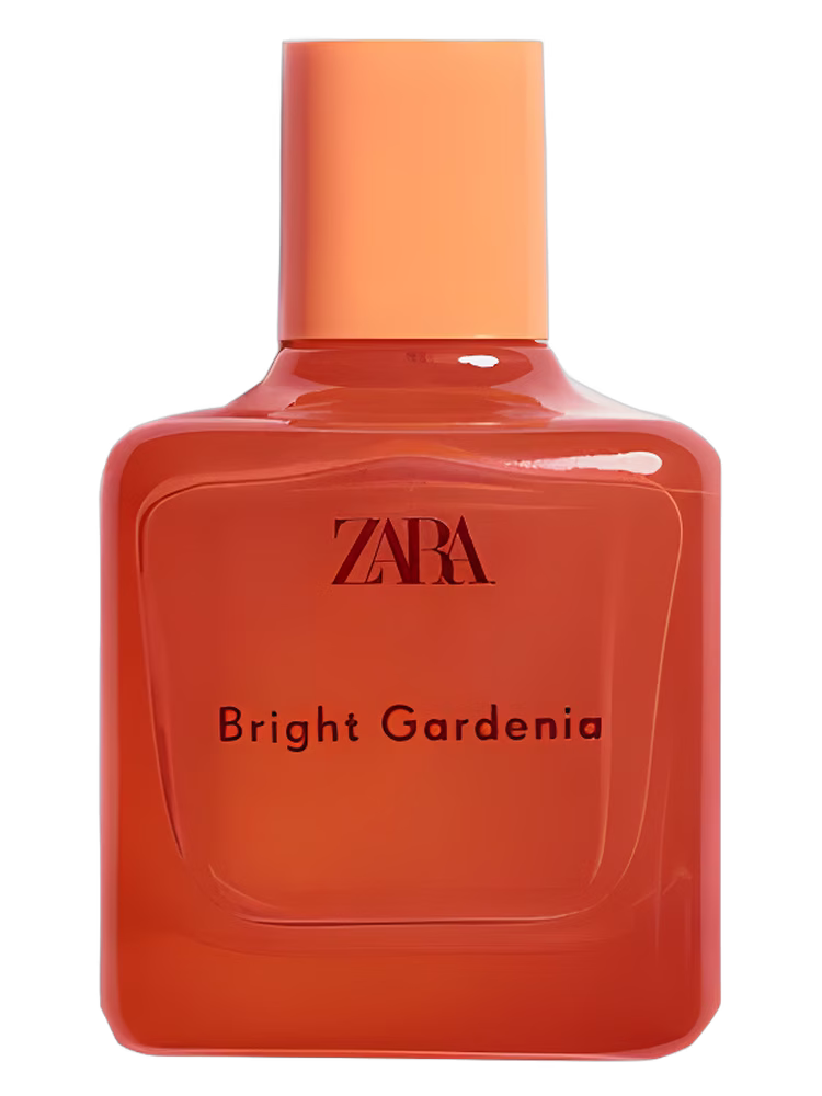 Zara Bright Gardenia