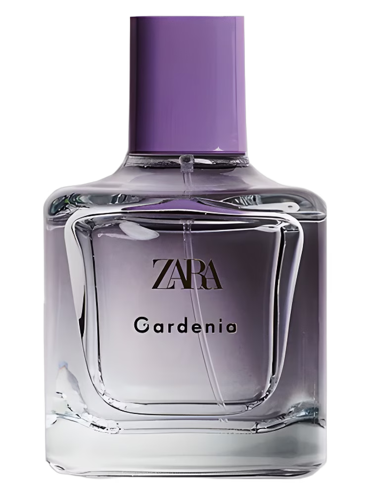 Zara Gardenia