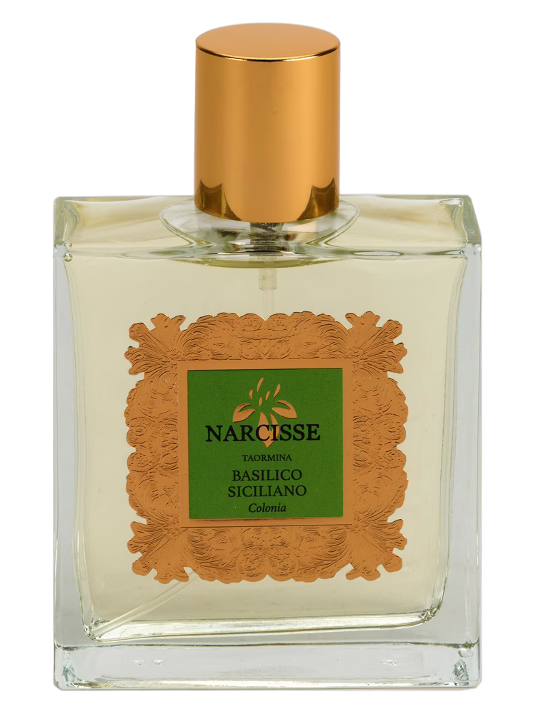 Narcisse Taormina Basilico Siciliano