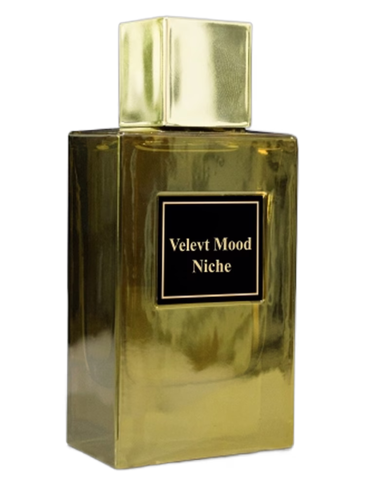 Niche Velvet Mood