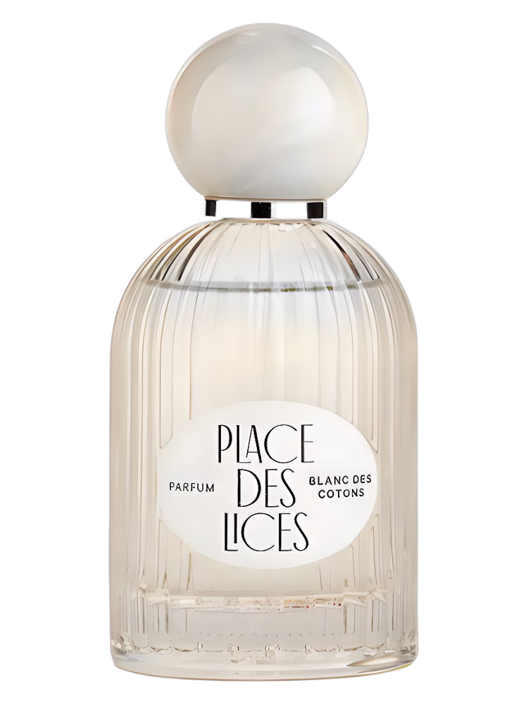 Place des Lices Blanc des Cotons