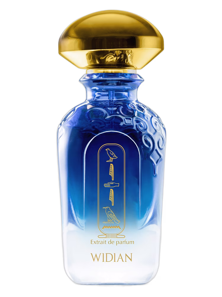 WIDIAN Aswan