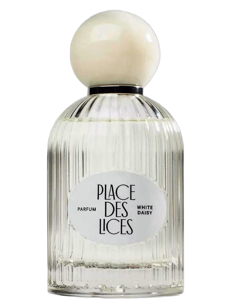 Place des Lices White Daisy