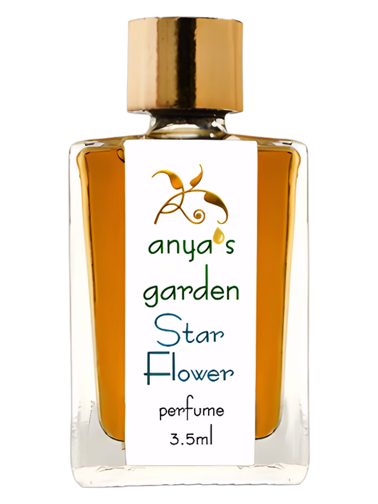 Anya's Garden Star Flower