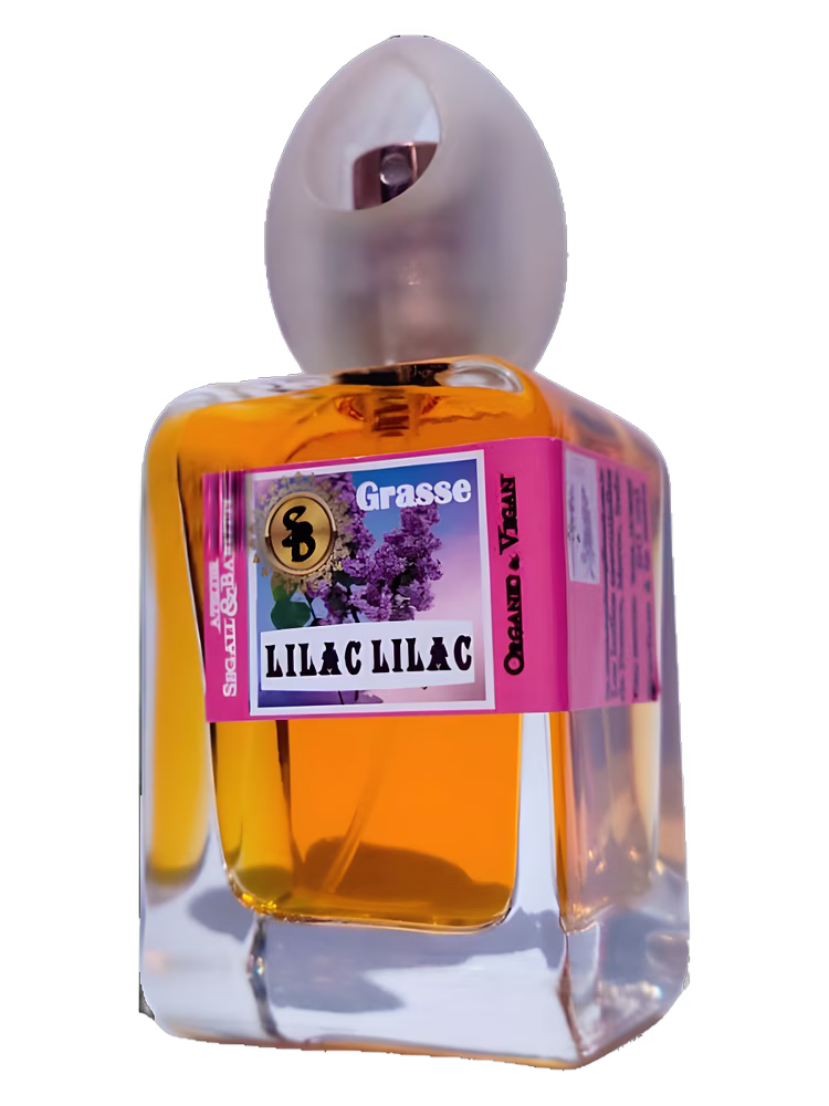 Atelier Segall & Barutti Lilac Lilac
