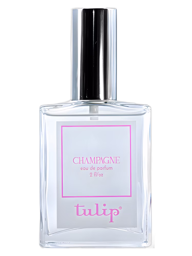 Tulip Champagne