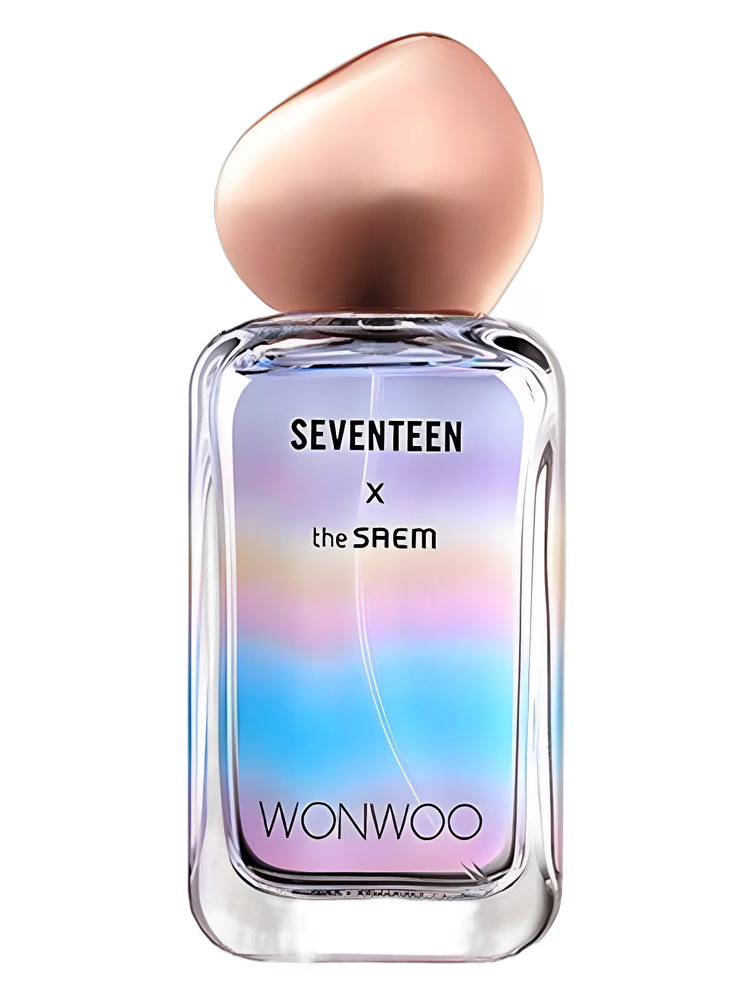 The SAEM Seventeen X Wonwoo