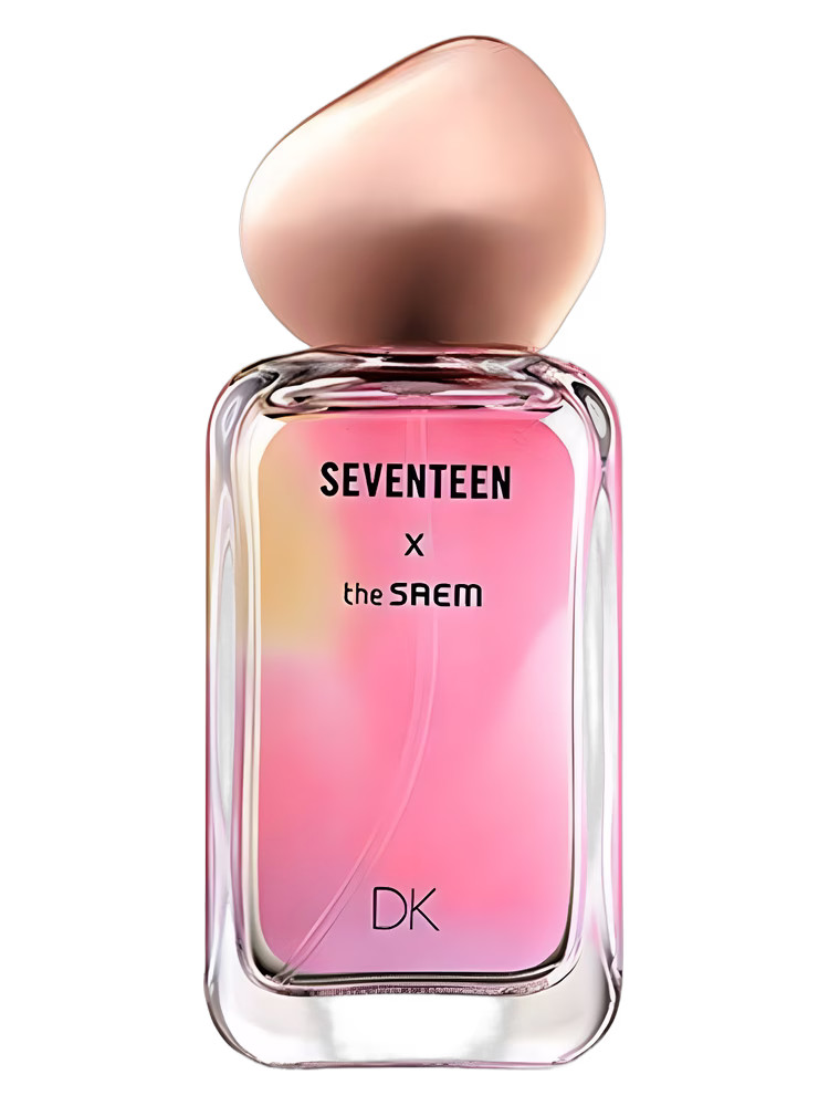 The SAEM Seventeen X DK