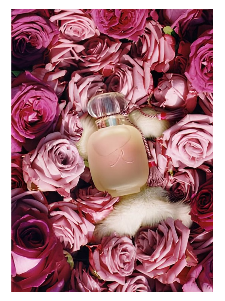Les Parfums de Rosine Une Folie de Rose