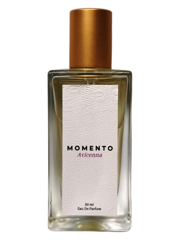 Momento Perfumery Avicenna