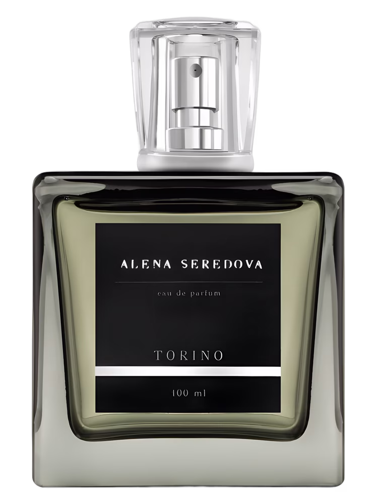 Alena Seredova Torino