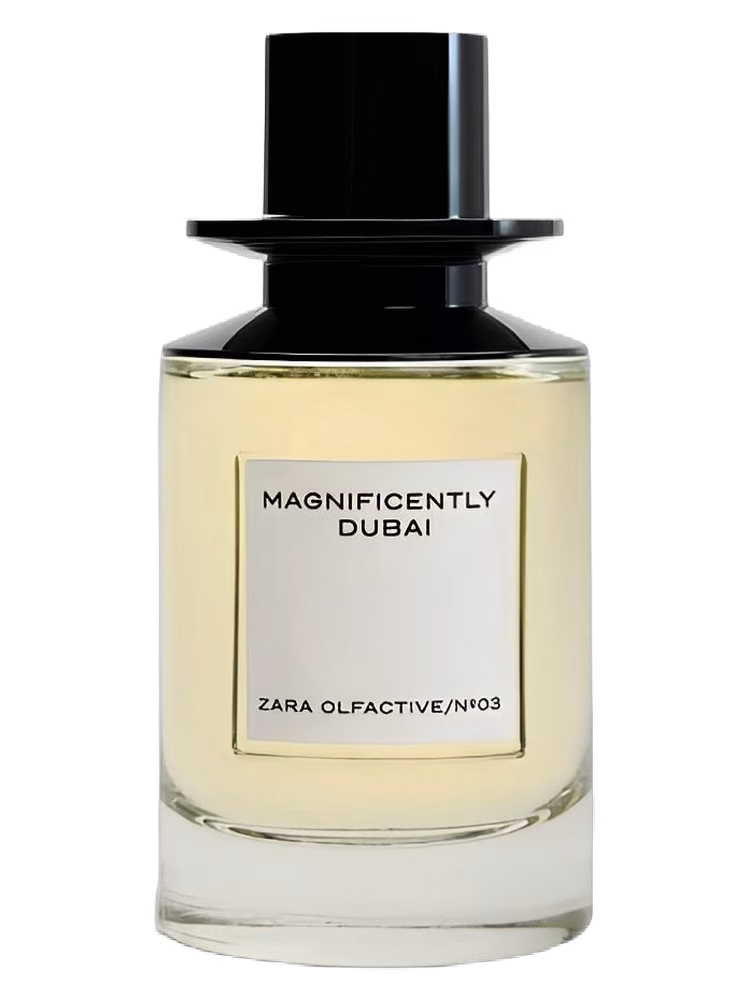 Zara Magnificently Dubai