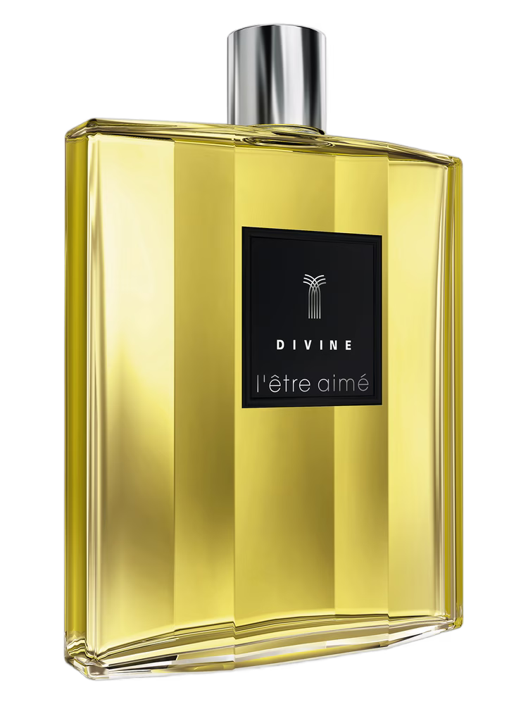 Divine L'etre Aime Homme