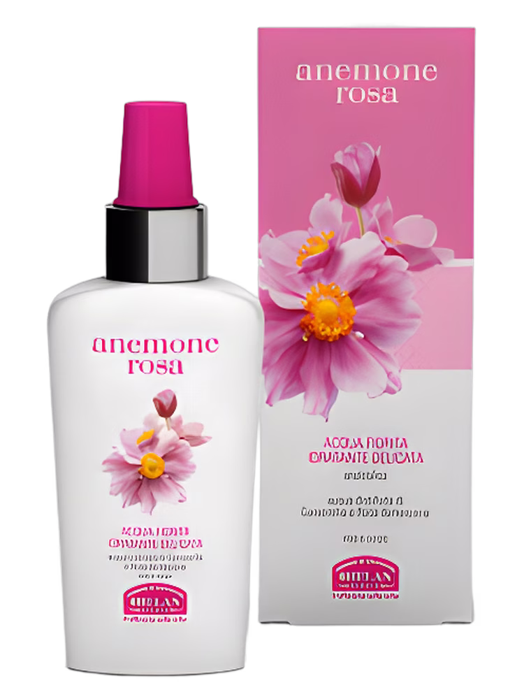 Helan Anemone Rosa