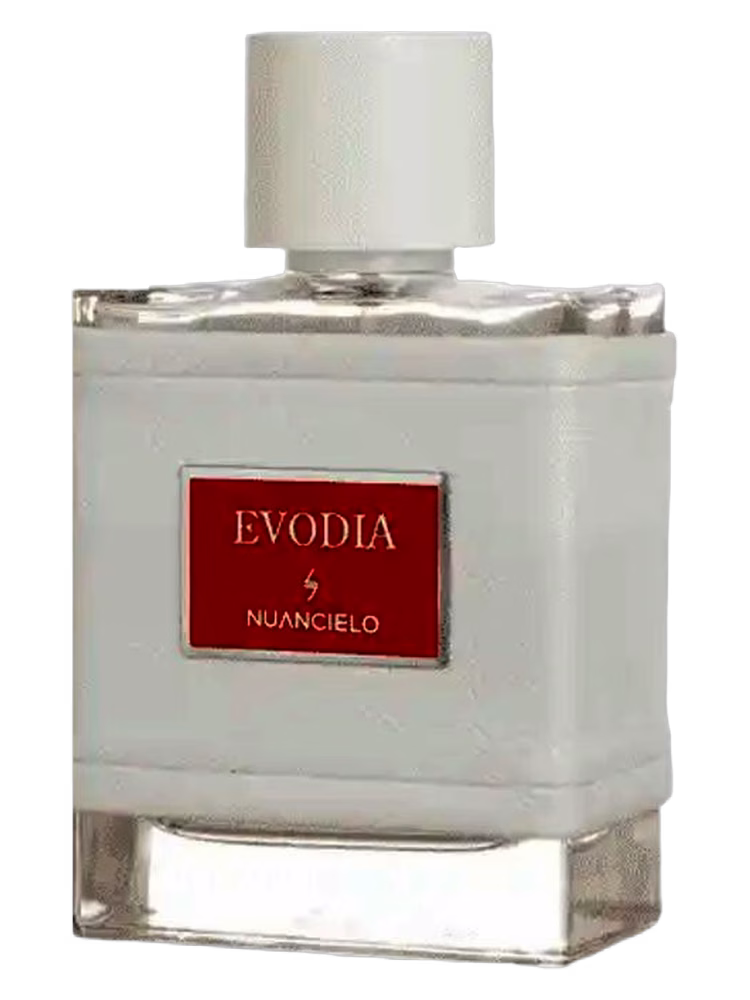 Nuancielo Evodia