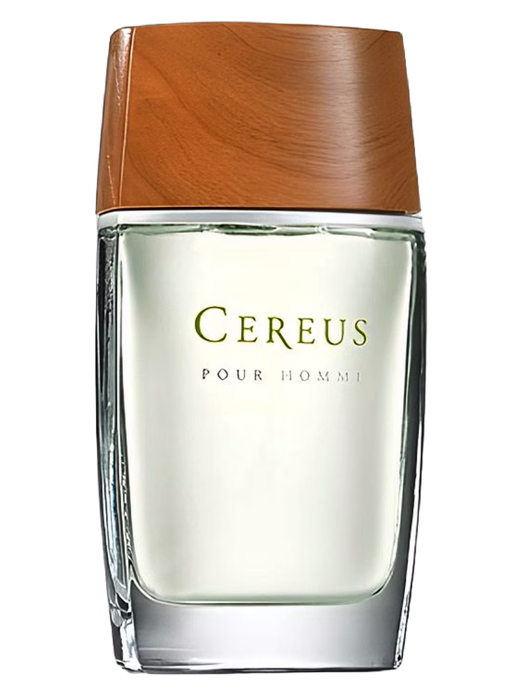 Cereus Cereus No. 6