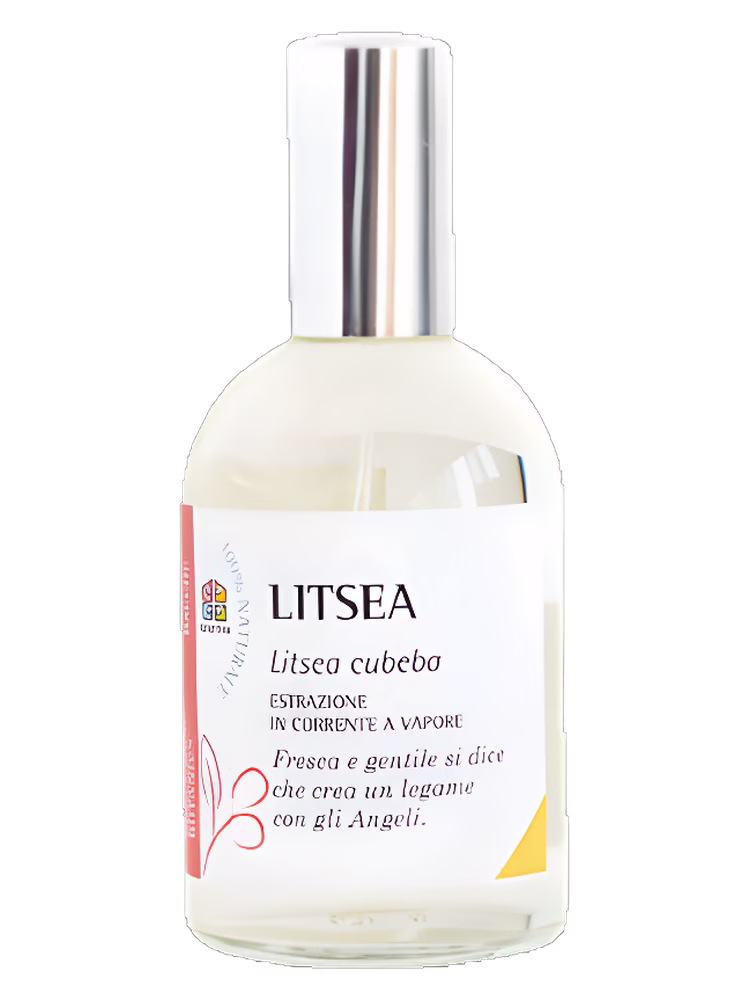 Olfattiva Litsea