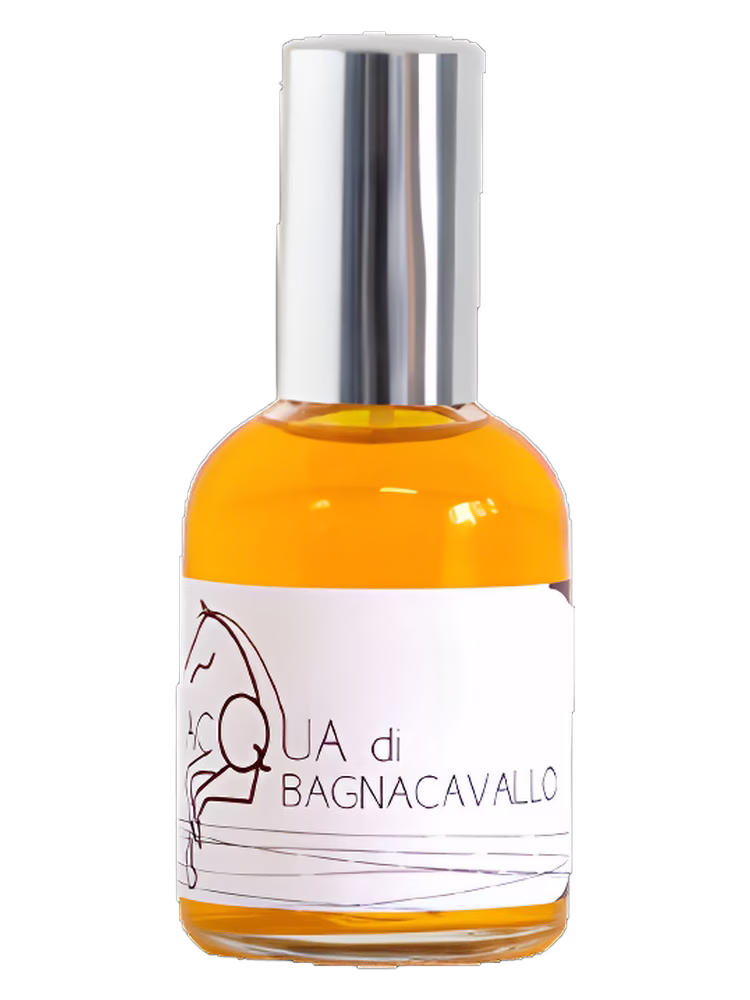 Olfattiva Acqua di Bagnacavallo