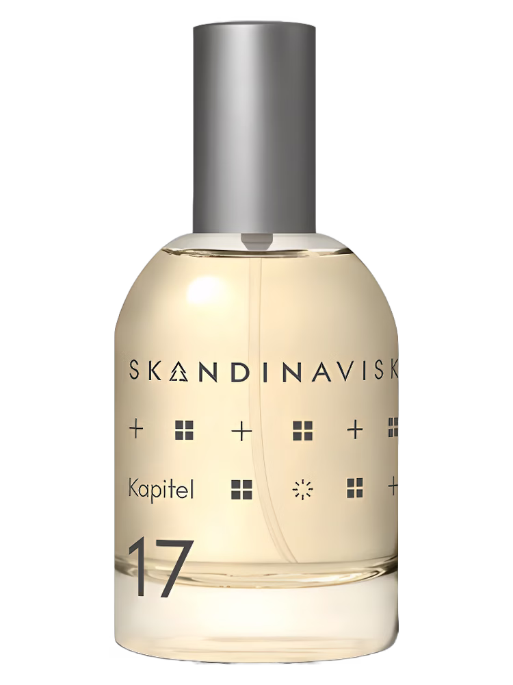 Skandinavisk Kapitel 17