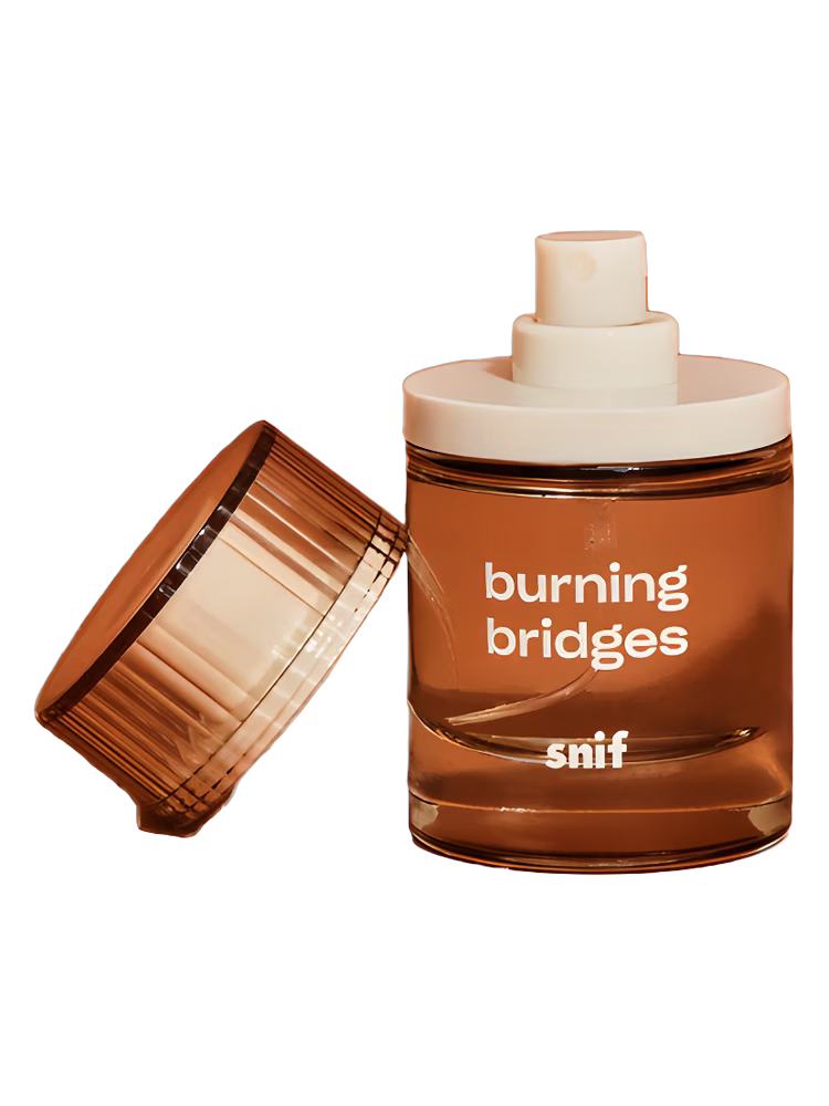 Snif Burning Bridges