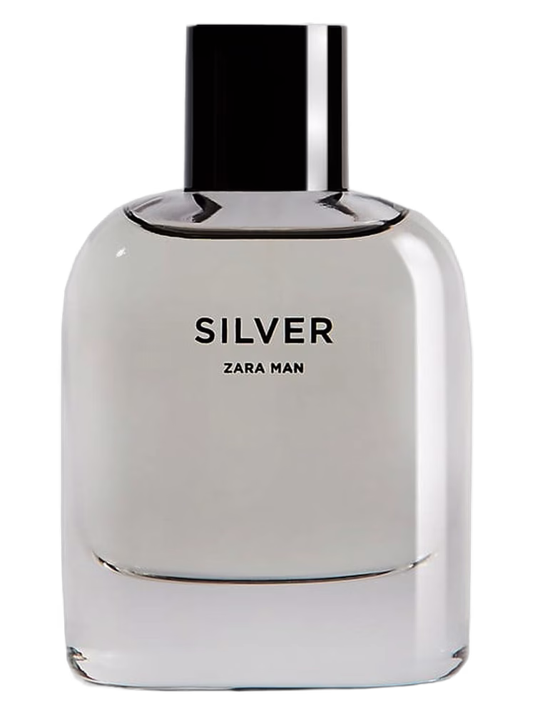 Zara Silver