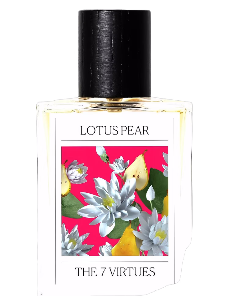 The 7 Virtues Lotus Pear