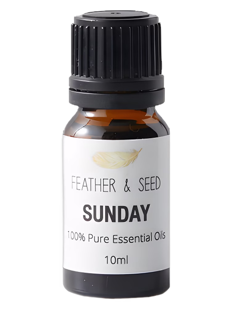 Sensor I Am Sunday