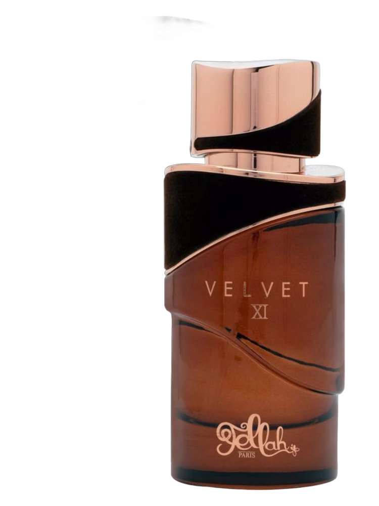 Fellah Paris Velvet XI