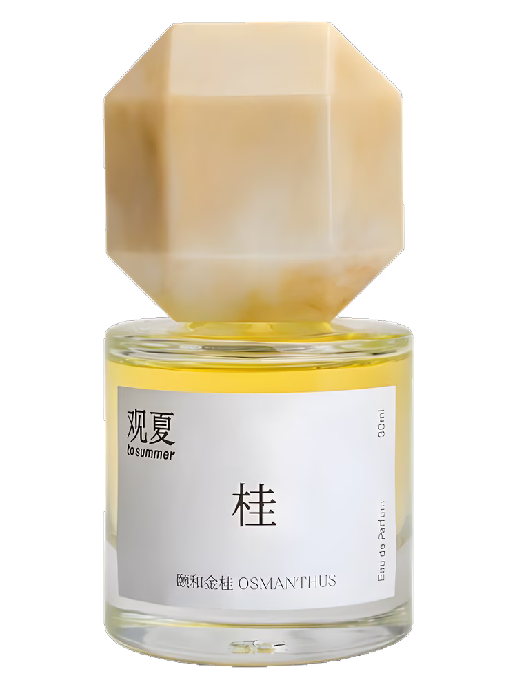 To Summer | 观夏 Osmanthus 颐和金桂