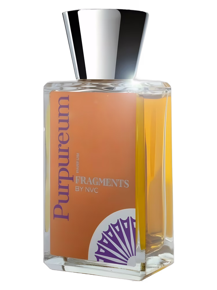 Fragments by NVC Purpureum