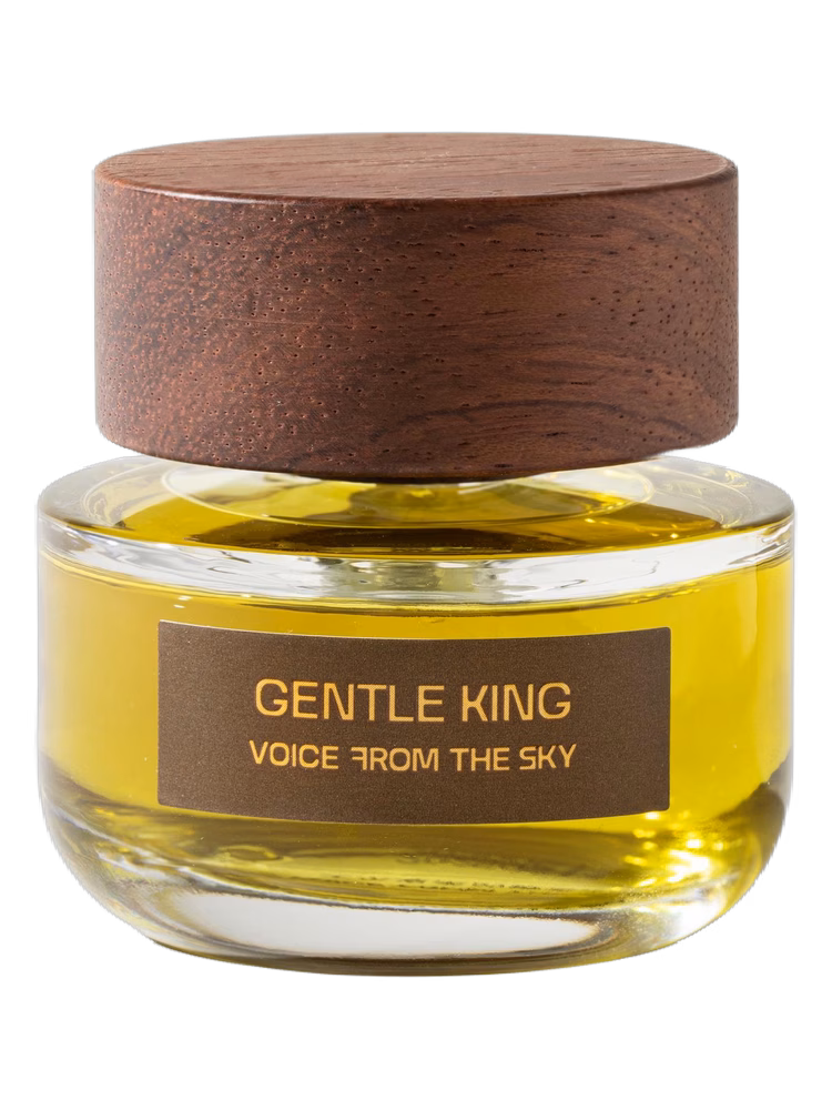 Voice From The Sky 天乐 Gentle King 温柔的狮