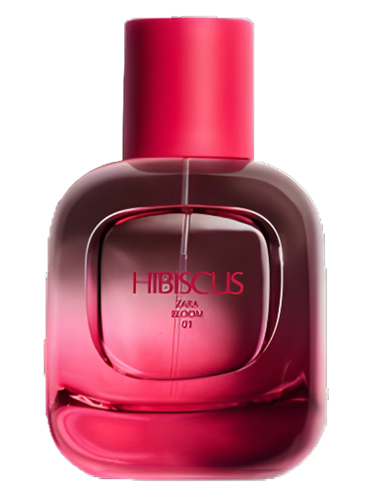 Zara Hibiscus