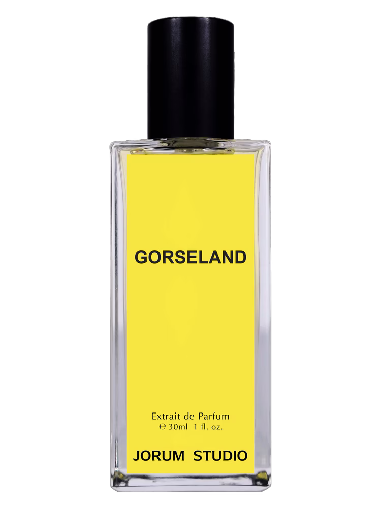 Jorum Studio Gorseland