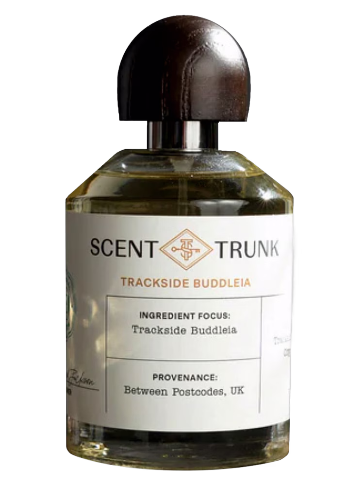 Scent Trunk Trackside Buddleia