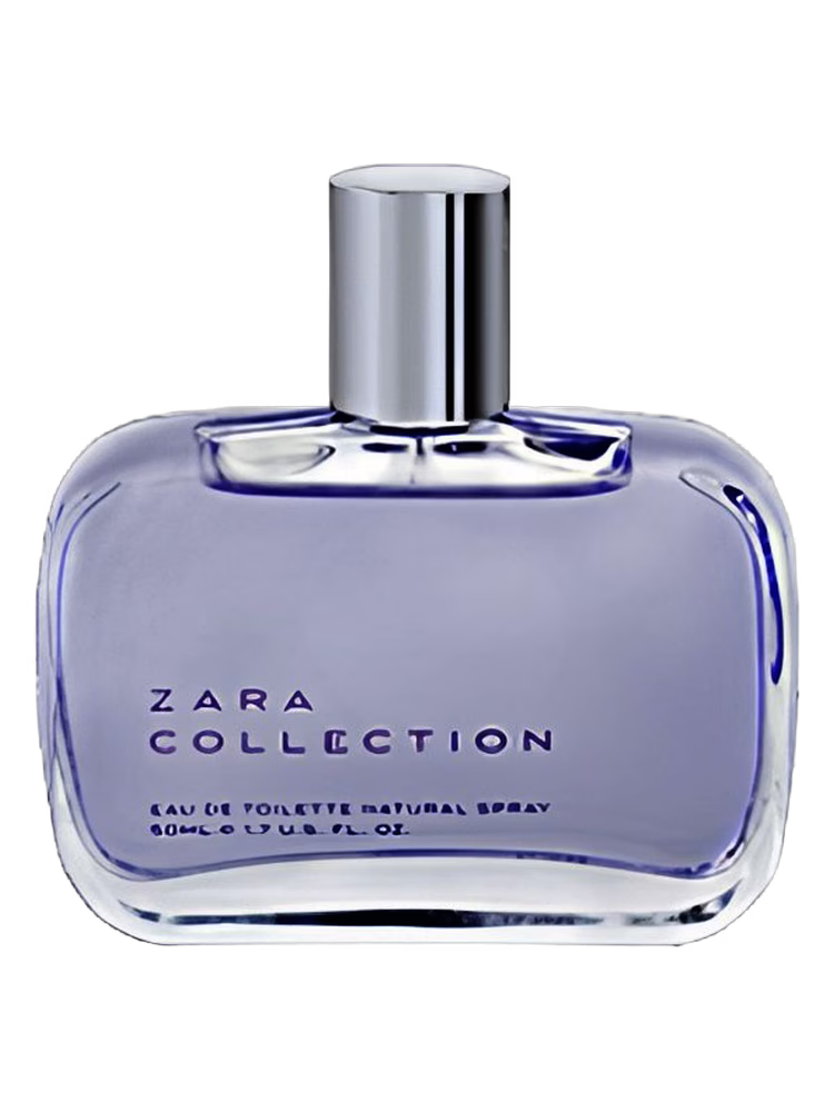 Zara Zara Collection Woman