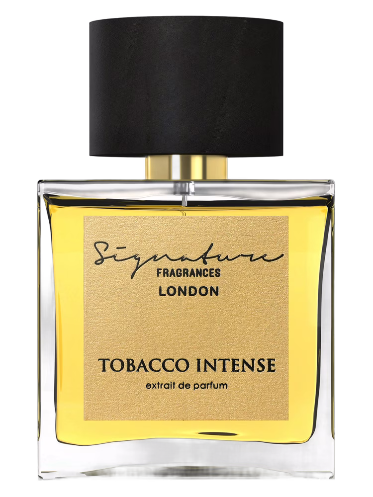 Signature Fragrances Tobacco Intense
